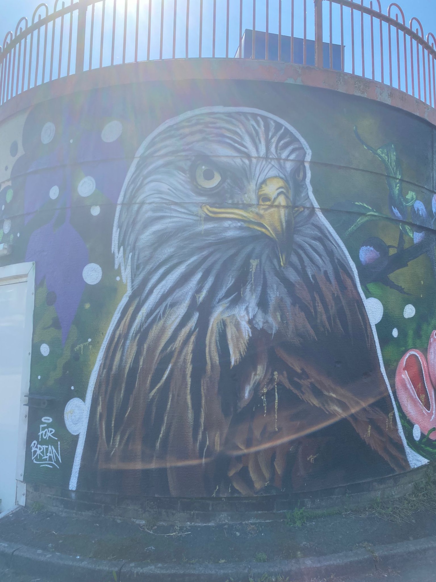 Vibrant and colourful birds form parts of the mural